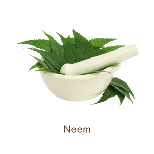 Neem Soap