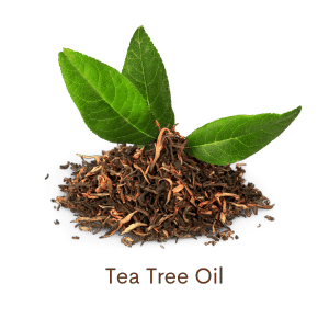 Neem Soap