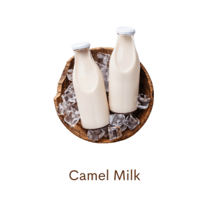 Camel Milk Soap