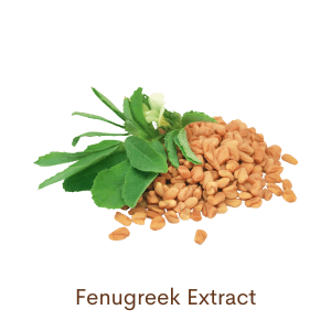 Neem Soap